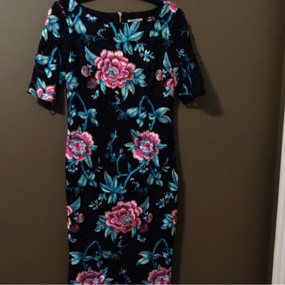 Eliza J Floral Embroidered Lace Overlay
Sheath Dress Size 6